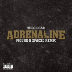 Zeds Dead - Adrenaline (Figure & 2FAC3D Remix)