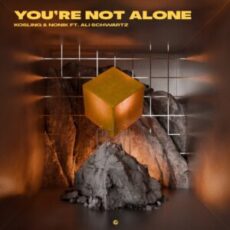 Kosling & NONIK feat. Ali Schwartz - You're Not Alone (Extended Mix)