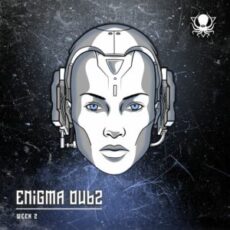 ENiGMA Dubz - Week 2