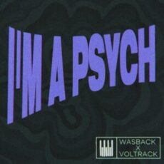 Wasback & Voltrack - I’m a Psych (Extended Mix)